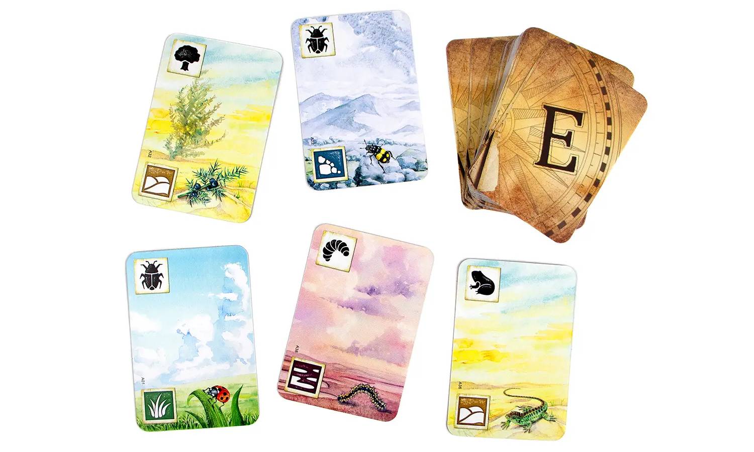 Настольная игра Левада (Meadow) 14