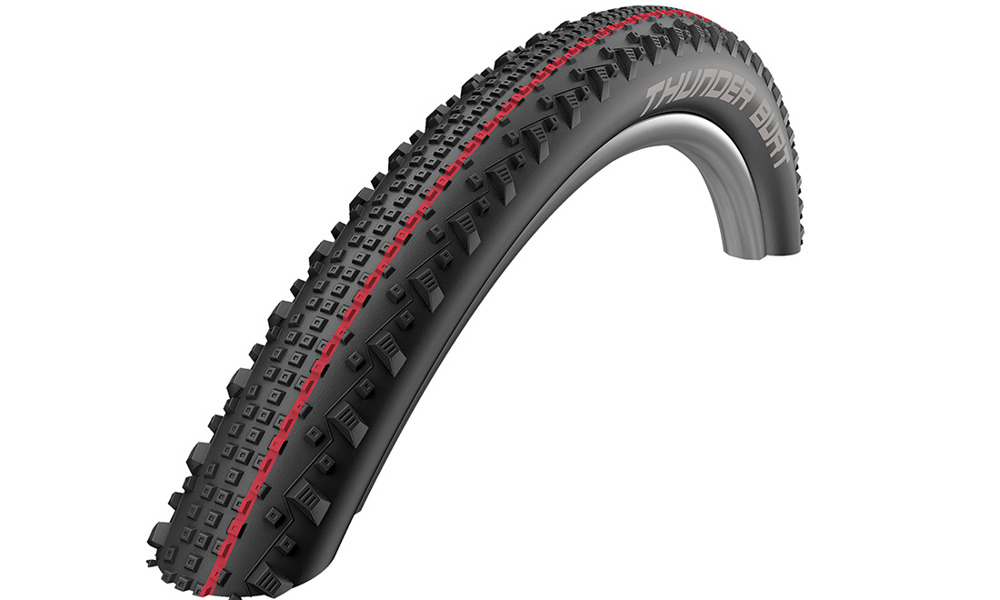 Фотографія Покришка 29x2.25 (57-622) Schwalbe THUNDER BURT SnakeSkin TL-Easy Evolution Folding B/B-SK HS451 Addix Speed, 67EPI EK