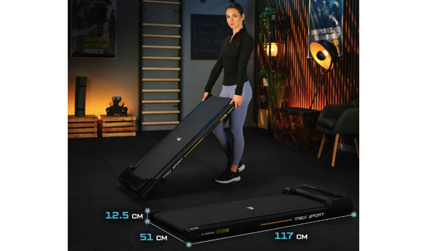 Беговая дорожка Trex Sport TX-300WP AERO 9