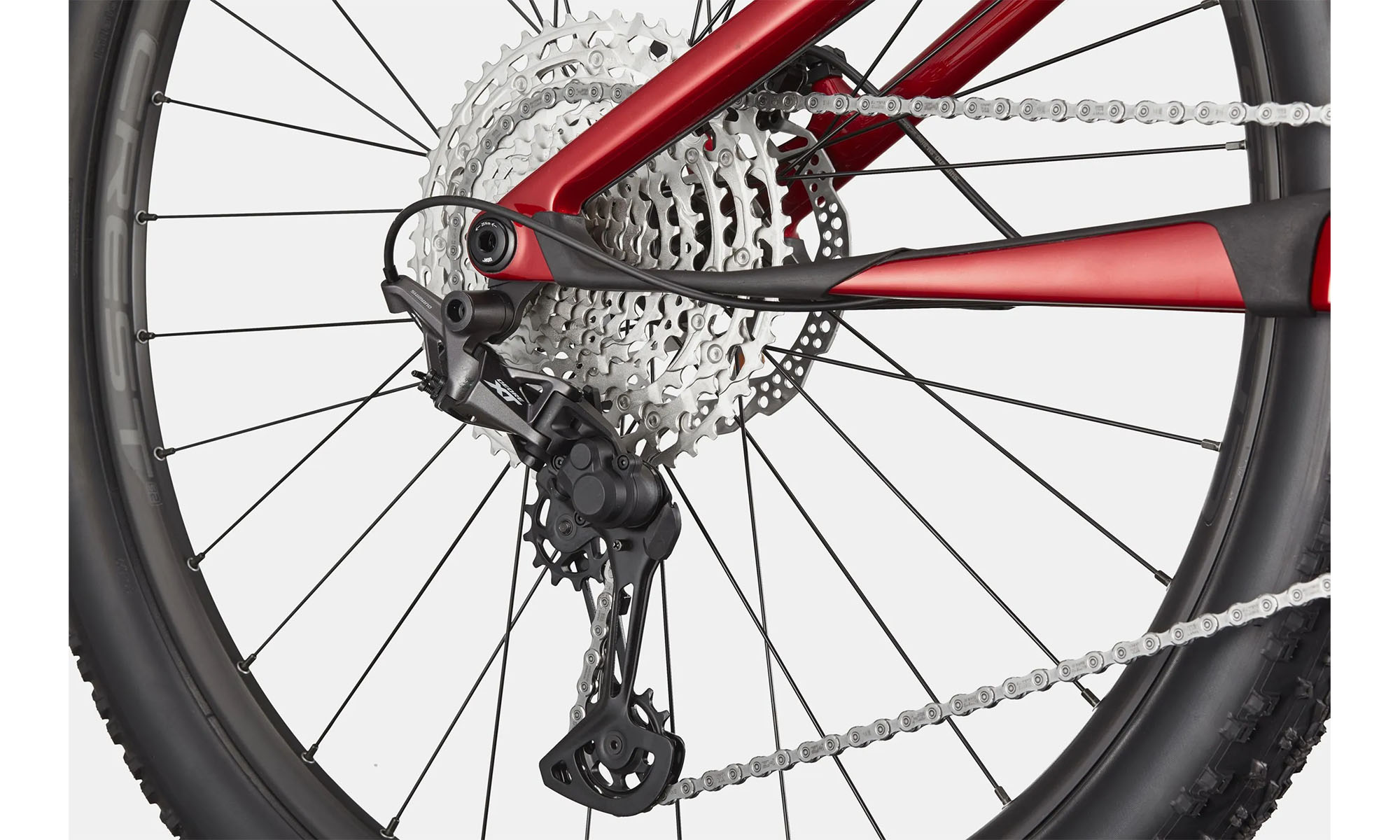 Велосипед Cannondale SCALPEL Carbon 4 29", рама S, год 2025, красный 5