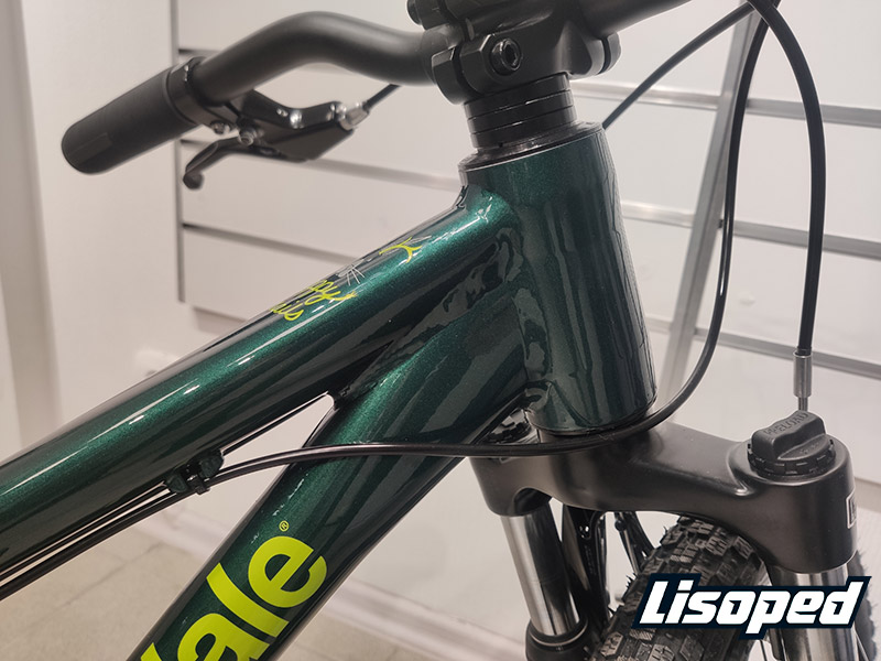 Фотография Велосипед 20" Cannondale TRAIL BOYS OS (2020) 2020 Зеленый 2