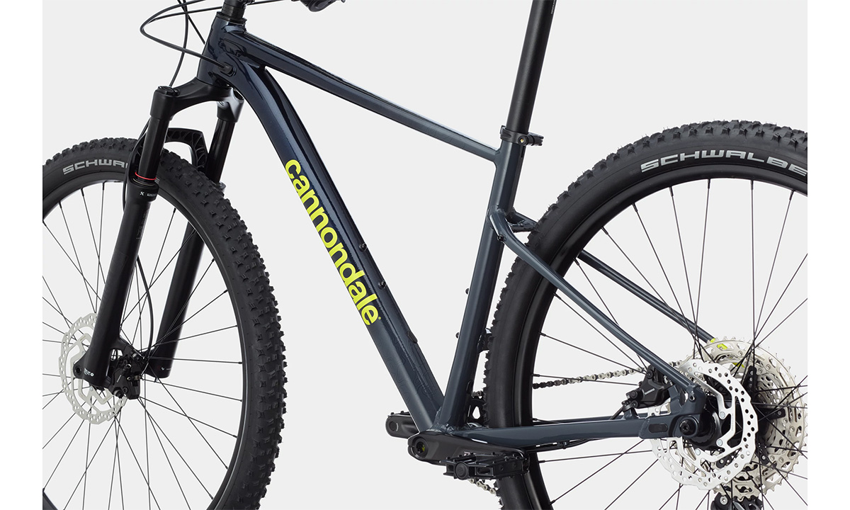Велосипед Cannondale TRAIL SL 2 29" 2021, розмір L, blue 6