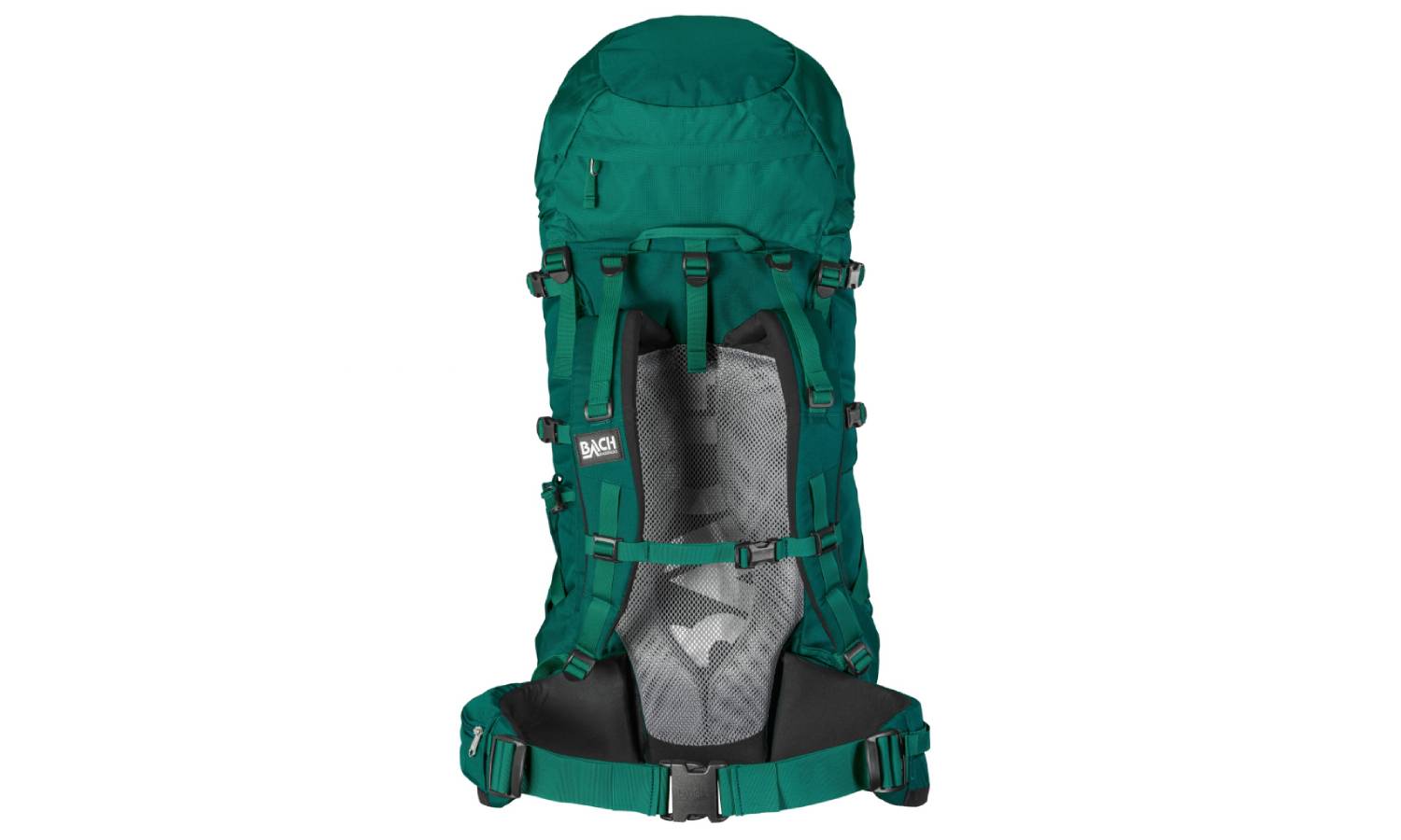 Bach Day Dream 50 Alpine Green 2