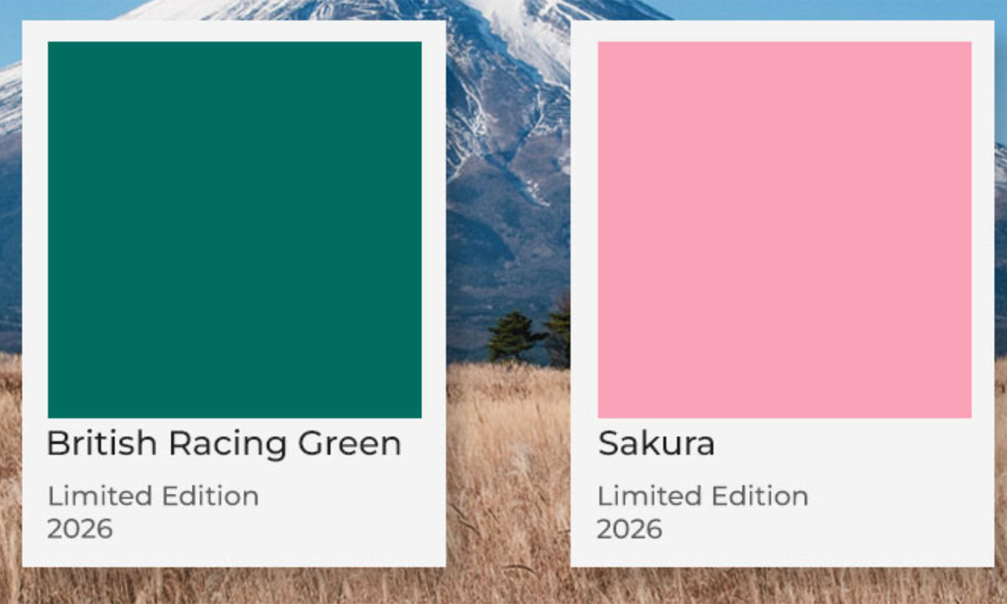 Покрышка Panaracer GRAVELKING SK Limited Edition 2026, 700x40C British Racing Green / Brown 3 Покрышка Panaracer GRAVELKING SK Limited Edition 2026, 700x40C British Racing Green / Brown 3