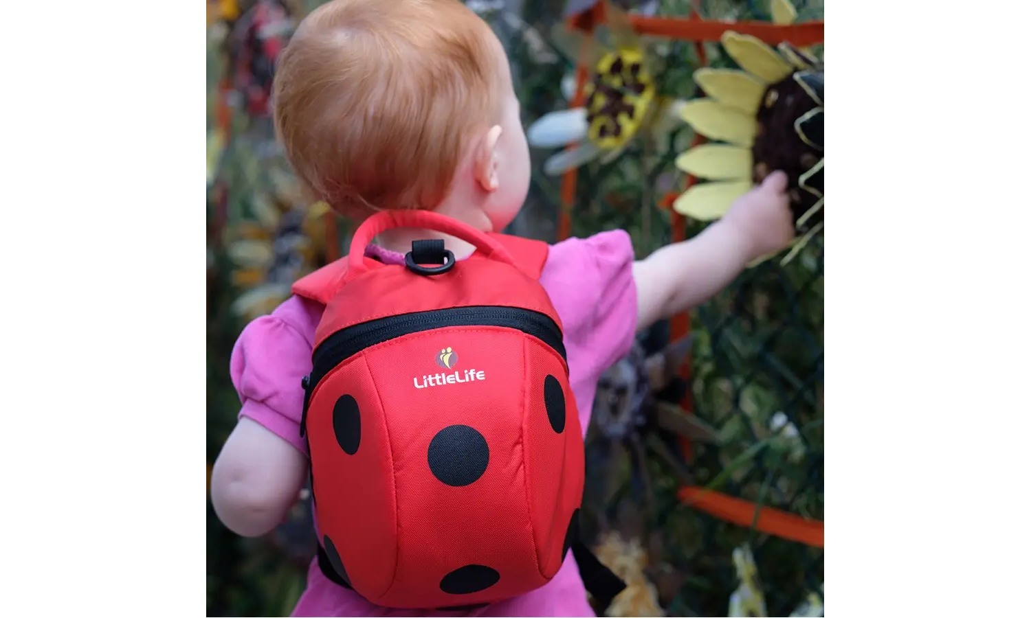 Рюкзак дитячий Little Life Animal Toddler ladybird 2 л 3