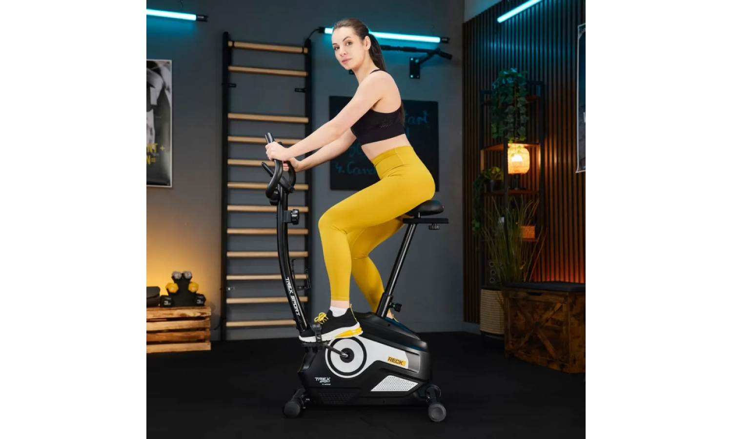 Велотренажер Trex Sport TX-400MB RECK магнітний чорно-білий 8