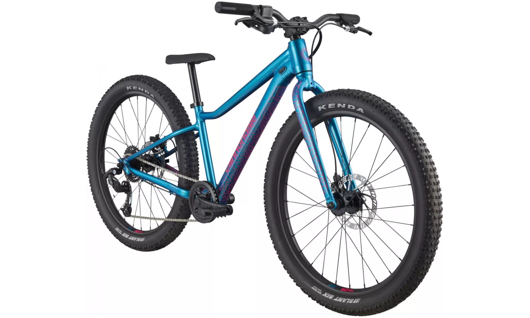 Фотография Велосипед подростковый Cannondale TRAIL Plus OS 24" 2024 DTE 2