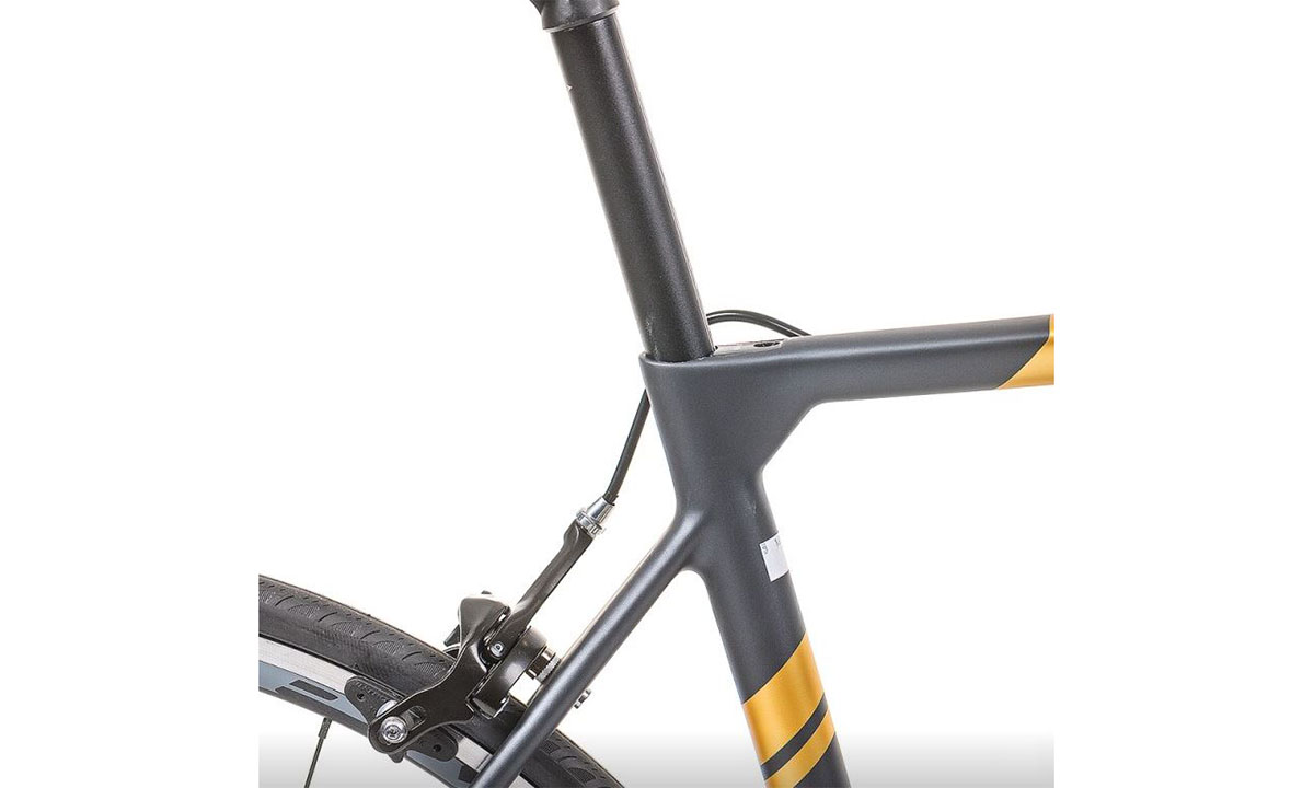 Велосипед PARDUS Road Robin Sport 105 11s Rim 50/34 Black Gold Размер рамы L 4