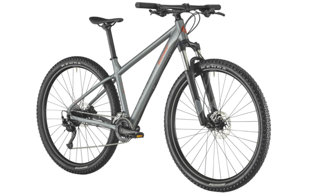 Велосипед Bergamont Revox 4 29" 2021, розмір М, Сірий 2
