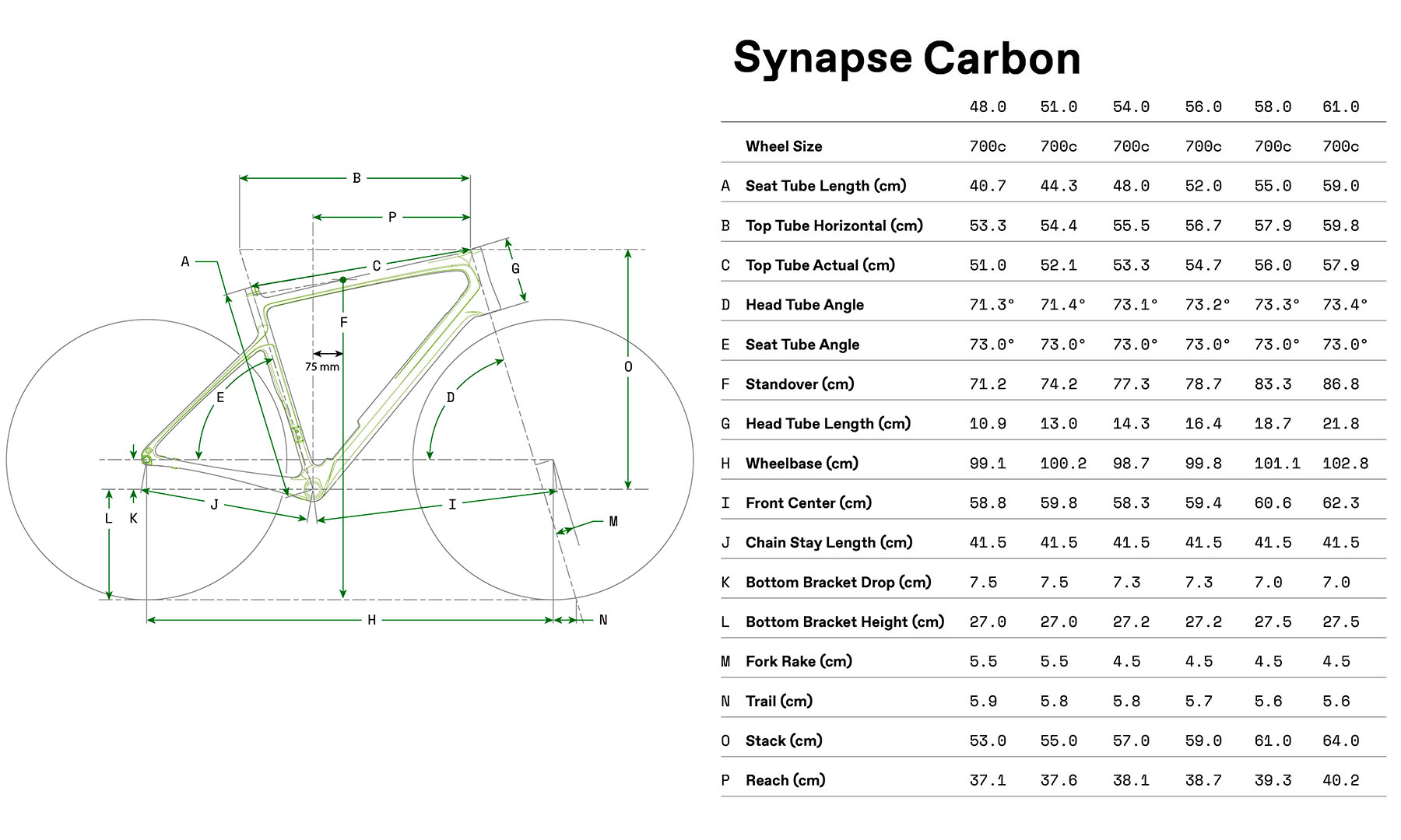 Велосипед Cannondale SYNAPSE Carbon 4 28" размер S рама 51см 2024 CAS 2