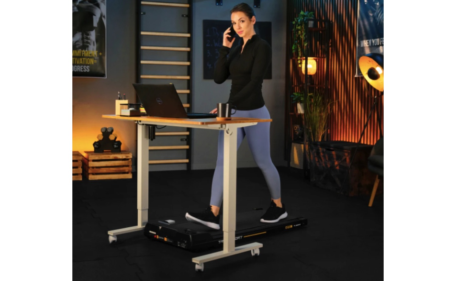 Беговая дорожка Trex Sport TX-300WP AERO 11