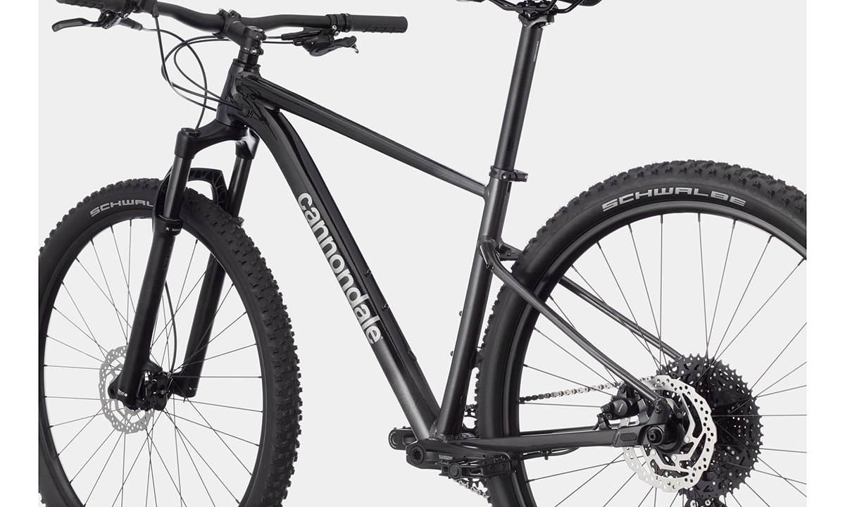 Фотография Велосипед Cannondale TRAIL SL 3 29" 2021, размер L, Черно-серый 3