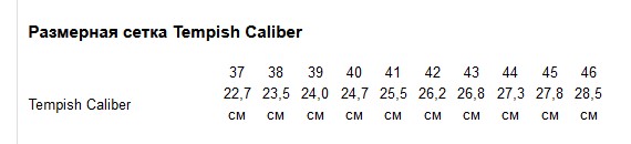 Ролики Tempish CALIBER размер 43 Черный 3
