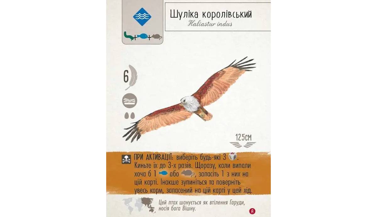 Настольная игра Крила. Птахи Азії (Wingspan: Asia) 8