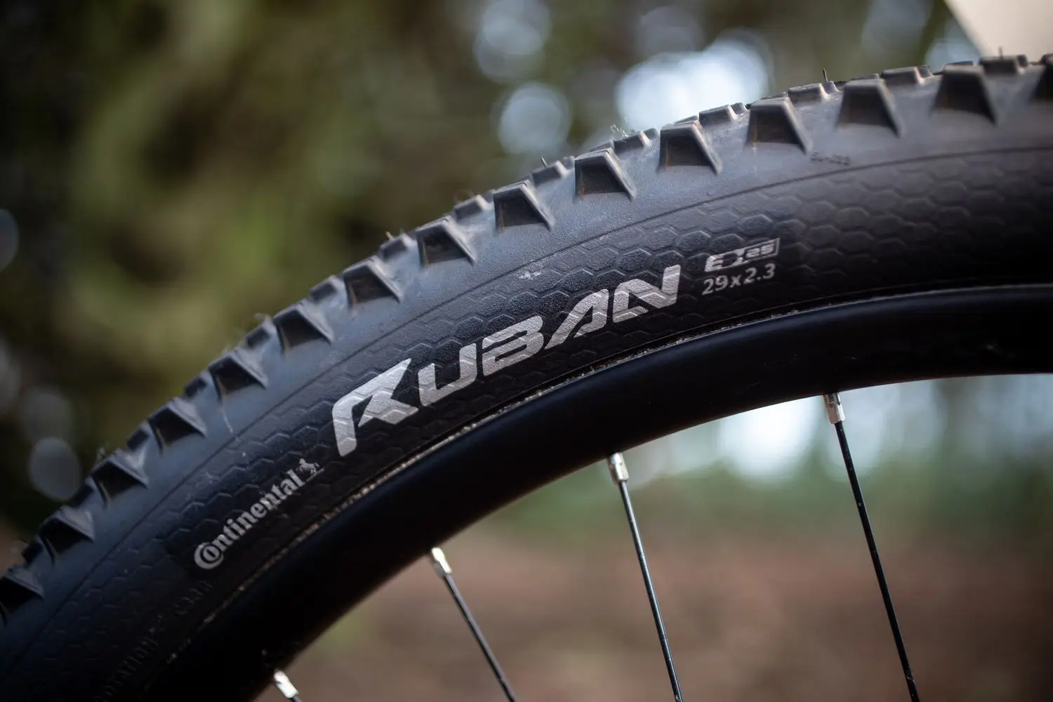 Покришка Continental Ruban 29 x 2.60, не складана, Чорна 5