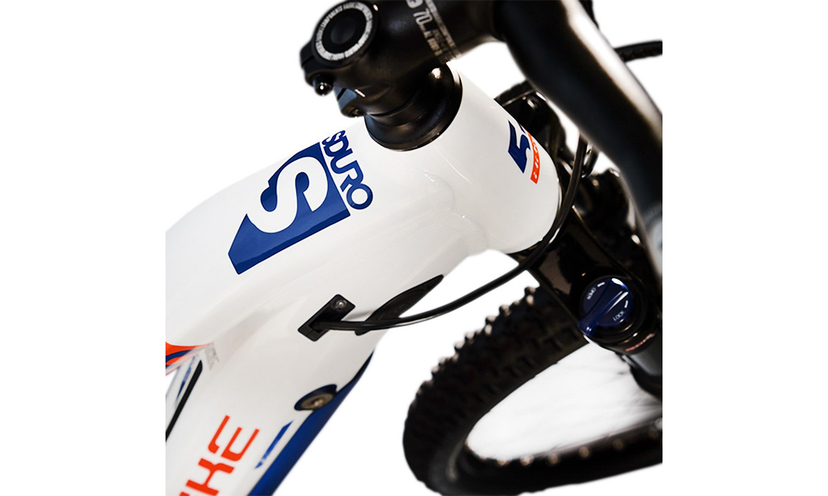 Электровелосипед Haibike SDURO HardNine 5.0 29" (2020) 2020 Бело-синий 5