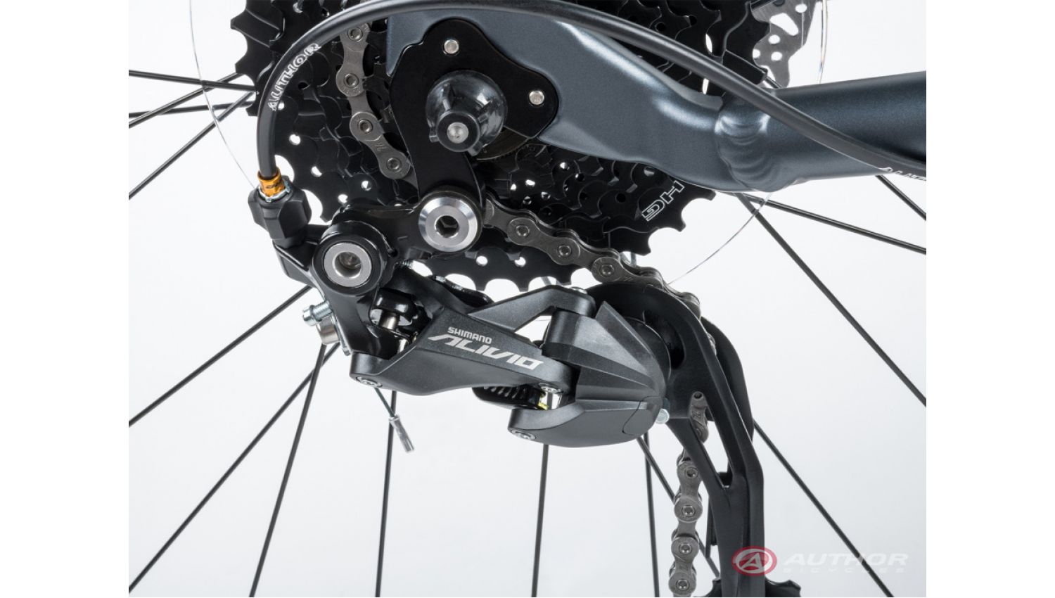 Велосипед AUTHOR Pegas 29" рама M (2022) Сірий 4