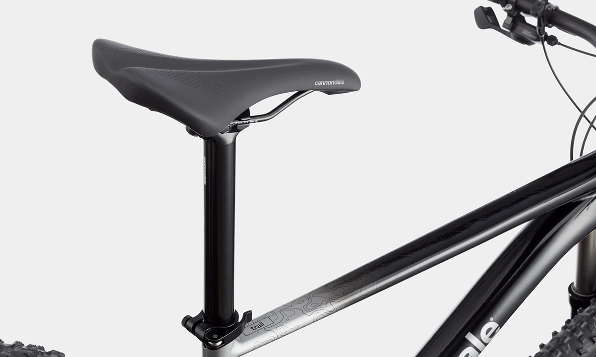 Велосипед Cannondale TRAIL SL 4 29" 2021, розмір S, Чорно-сірий 6