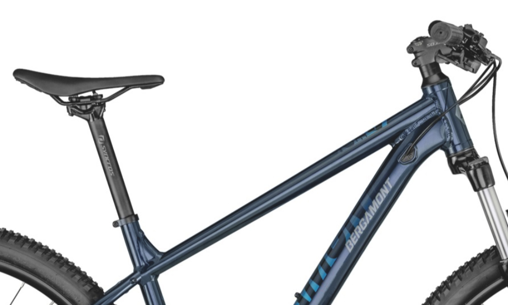 Велосипед Bergamont Revox 5 29" 2021, размер L, blue 3