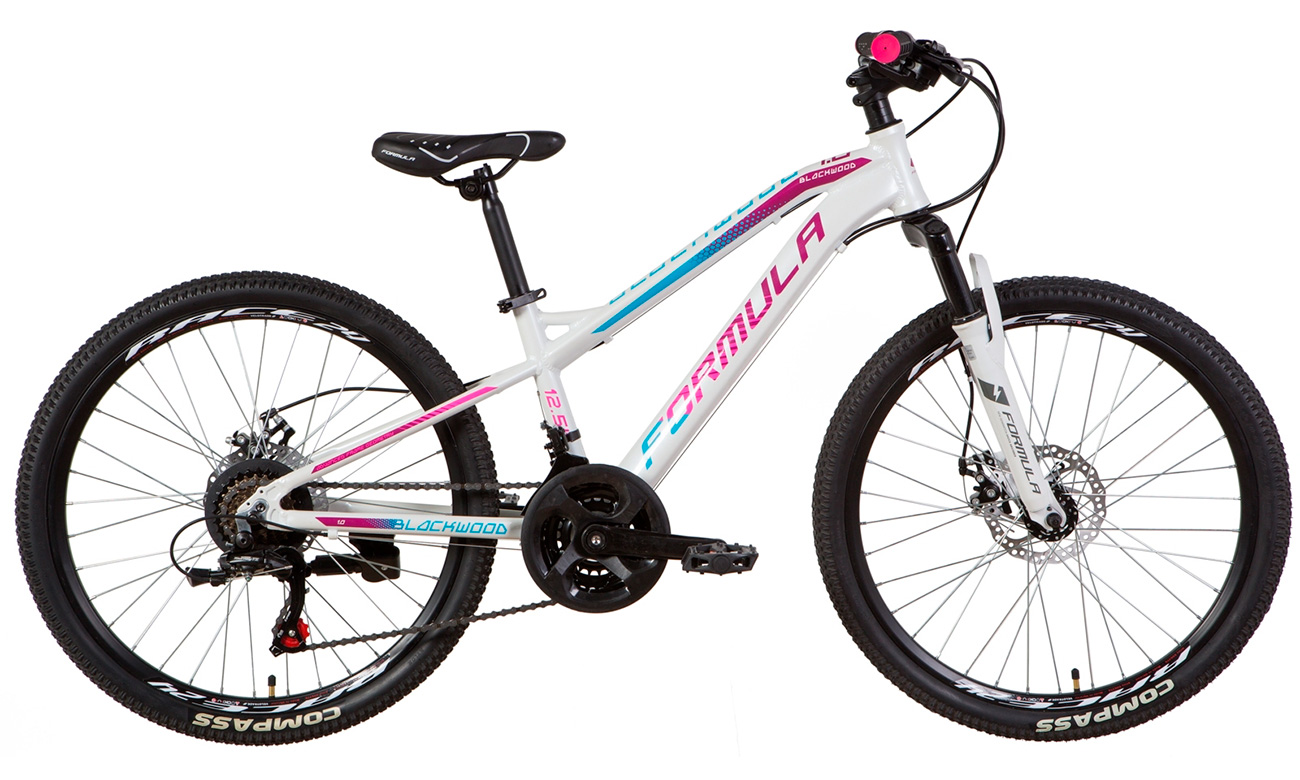 Велосипед Formula BLACKWOOD 1.0 AM DD  24" (2021) 2021 Бело-фиолетовый 2