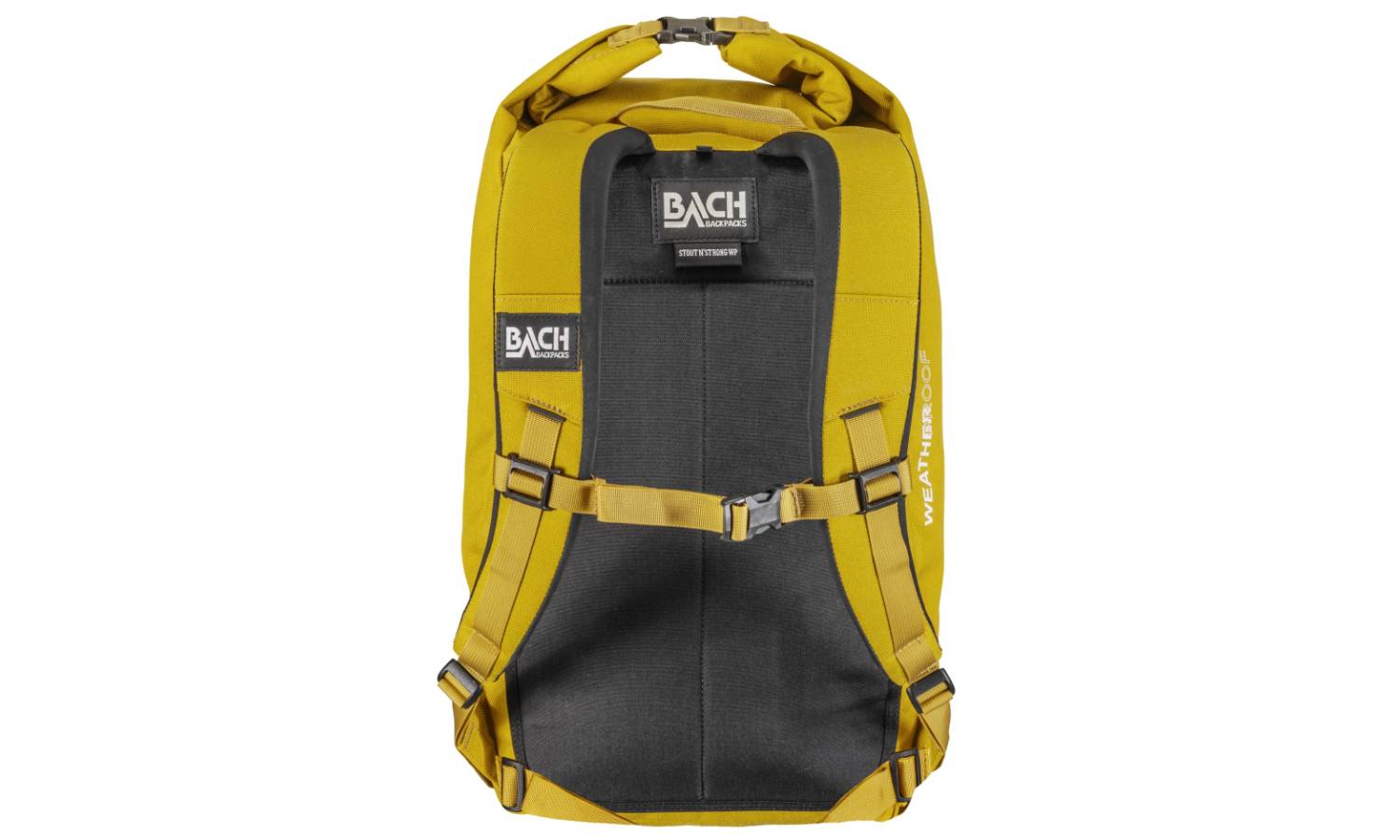 Bach Stout n Сильний 27 жовтого рюкзака каррі 2 Bach Stout n Сильний 27 жовтого рюкзака каррі 2