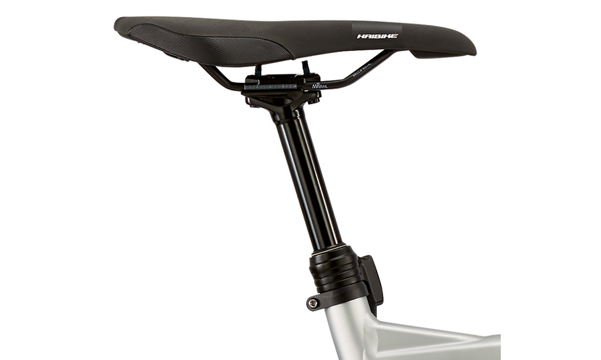 Фотографія Електровелосипед Haibike XDURO FatSix 8.0 26" (2020) 2020 Сіро-зелений 6