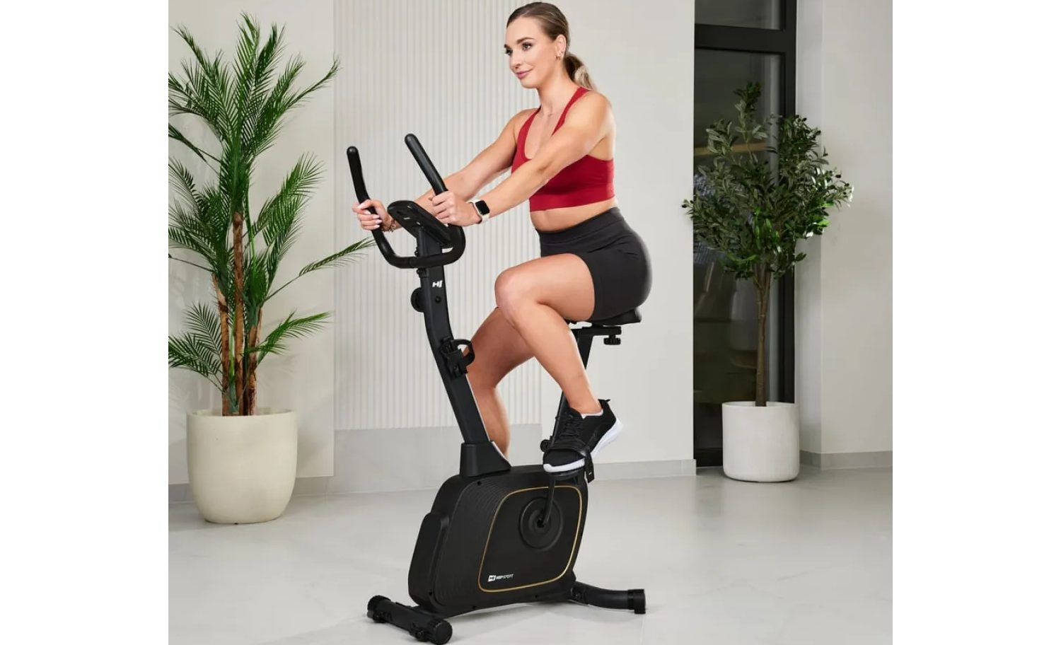 Велотренажер Hop-Sport HS-3000H Nexon магнитный черный 12