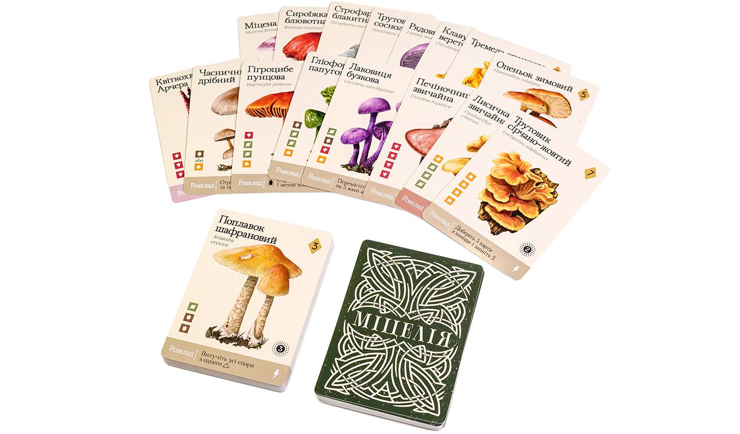 Настольная игра Мицелия (Mycelia) 13