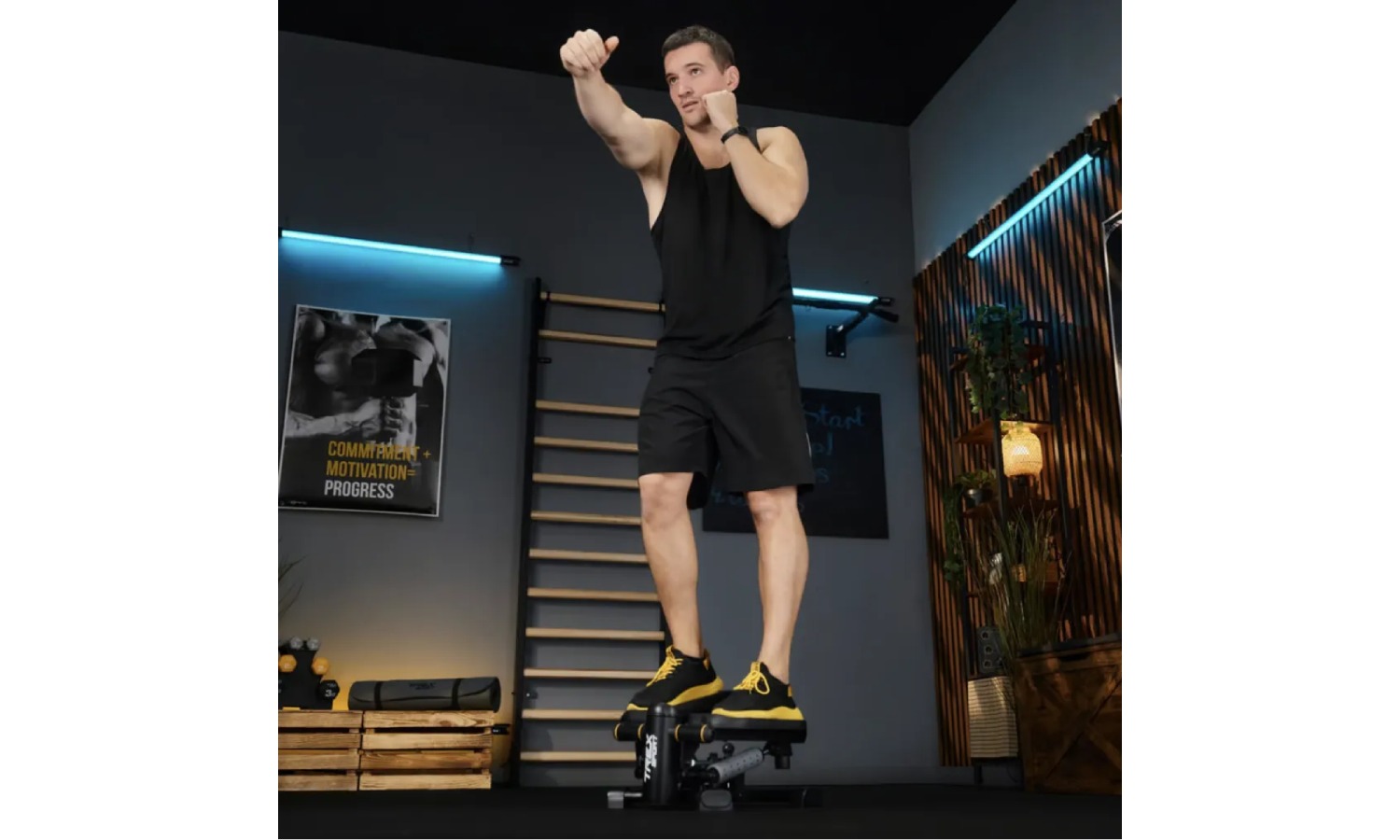 Степер 2в1 Trex-Sport TX-070SP Twiz Black 15