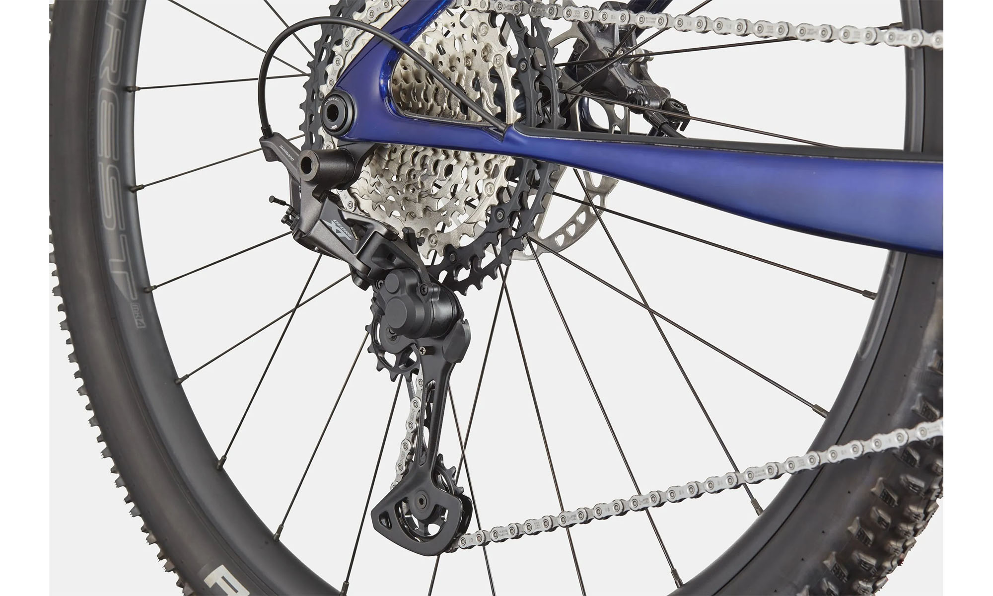 Фотографія Велосипед Cannondale SCALPEL HT Carbon 2 29", рама XL 2024 TBL (синий) 4