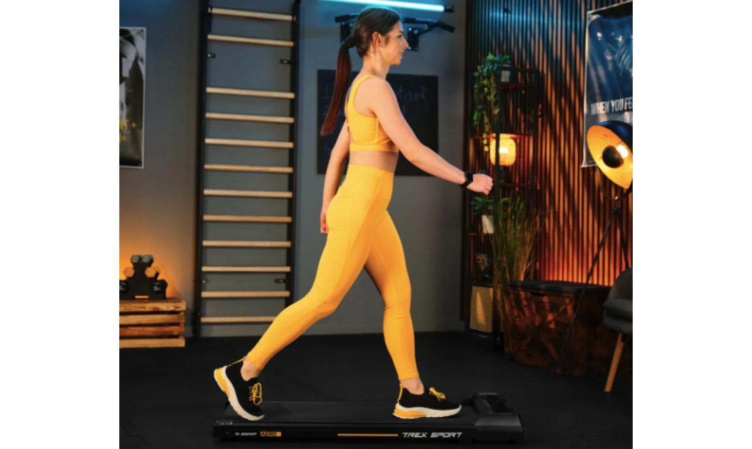 Беговая дорожка Trex Sport TX-300WP AERO 13