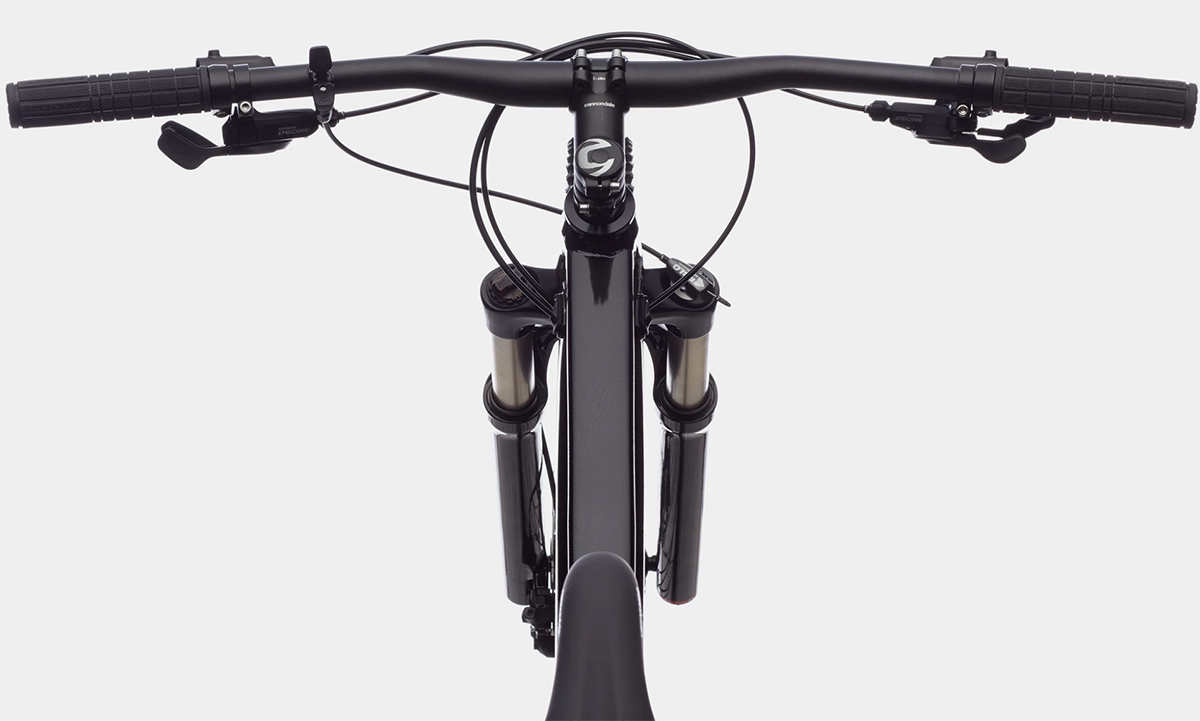 Велосипед Cannondale TRAIL SL 4 29" 2021, розмір S, Чорно-сірий 2