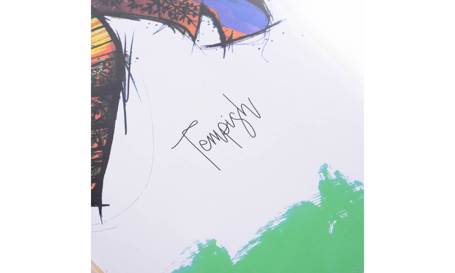 Лонгборд Tempish FISH 3