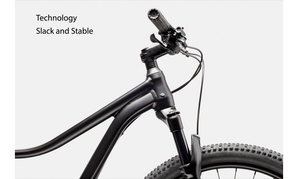 Велосипед Cannondale TRAIL 5 Feminine 29" размер М 2021 Серый 13