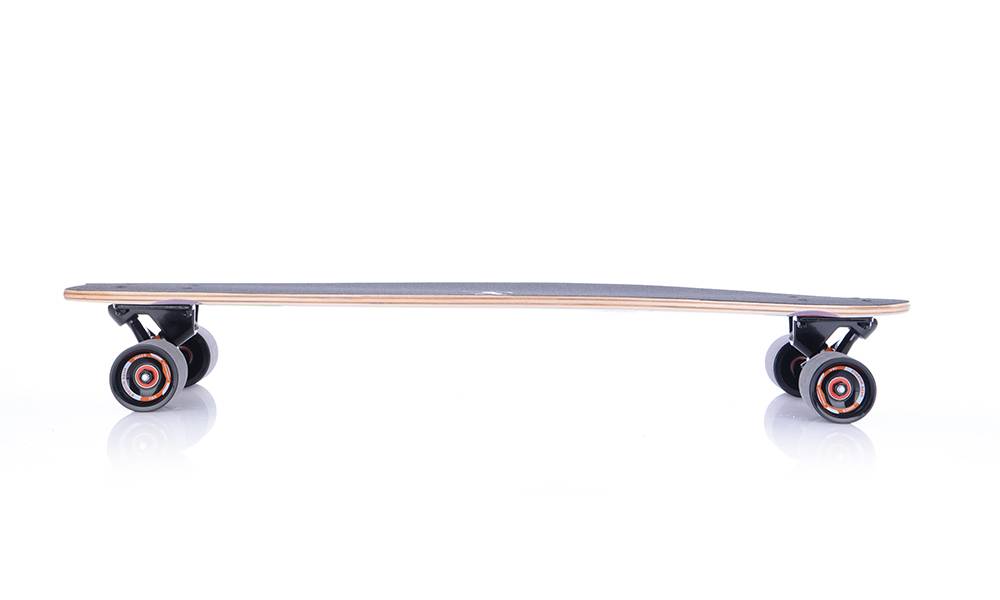 Довготембнарова риба 8