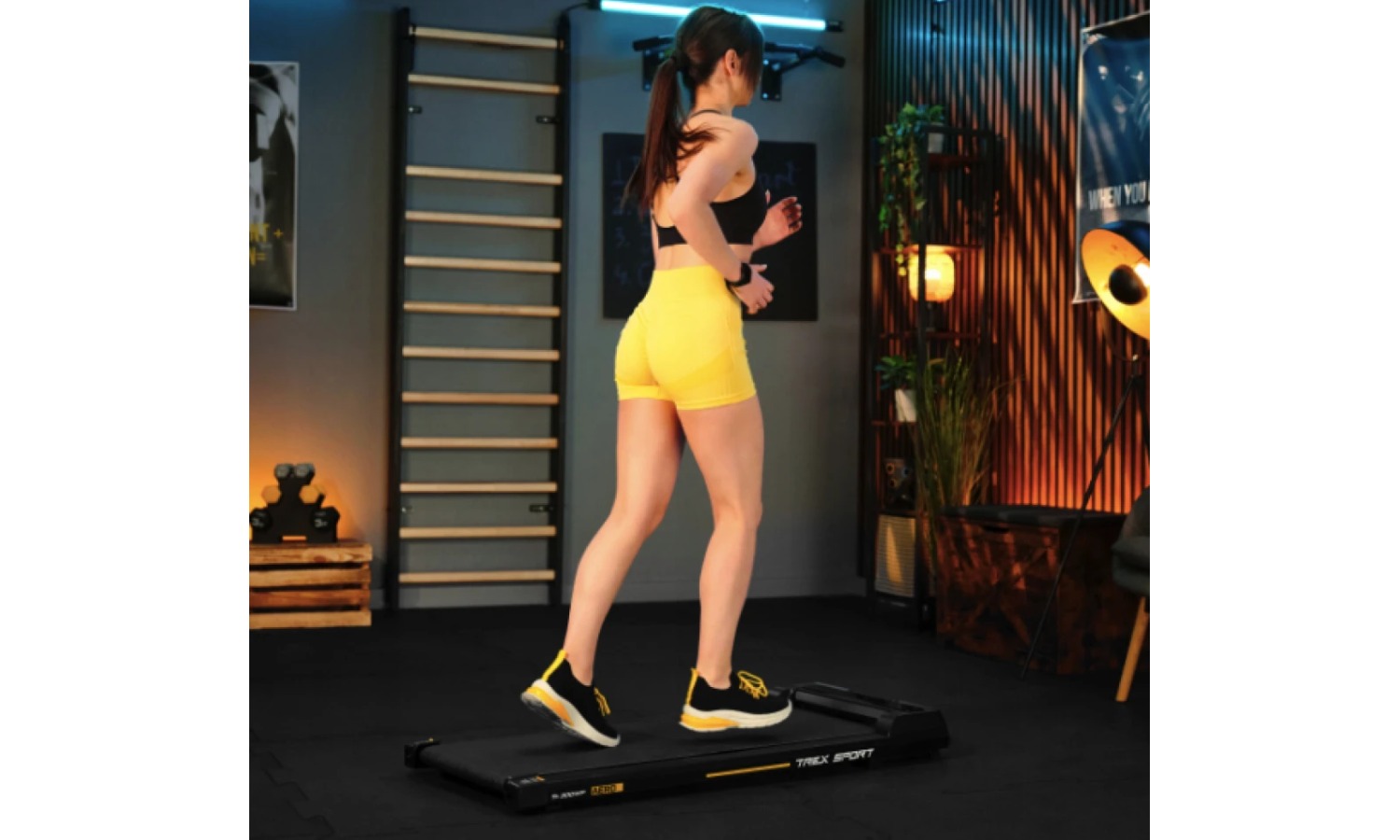 Беговая дорожка Trex Sport TX-300WP AERO 10