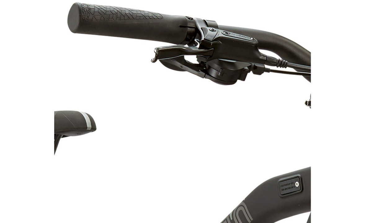 Електровелосипед Haibike SDURO Trekking 1.0 men 28" (2020) 2020 Сірий 3
