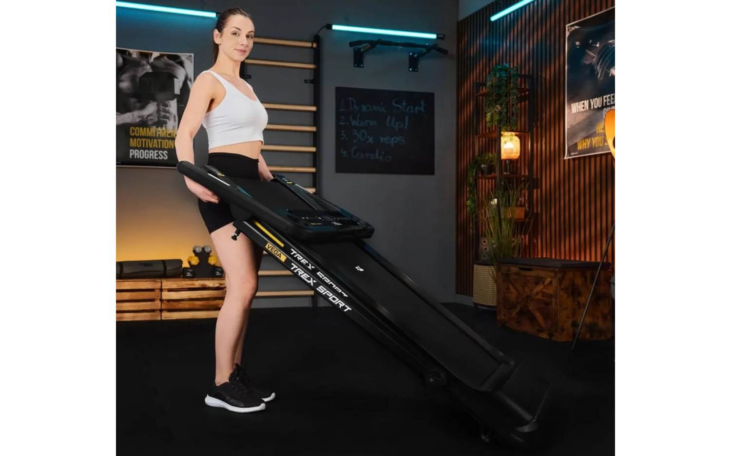 Беговая дорожка Trex Sport TX-800TM VEGA 6