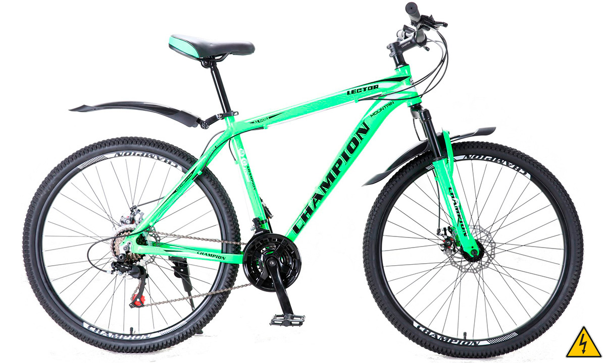 Електровелосипед Champion Lector 29", мотор FX-08R, 36В, 350Вт. (2021) 2020 Зелений 2