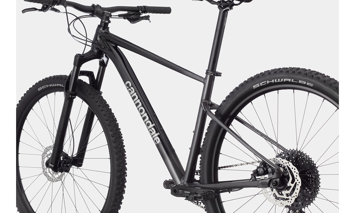 Фотография Велосипед Cannondale TRAIL SL 3 29" 2021, размер М, Черно-серый 5