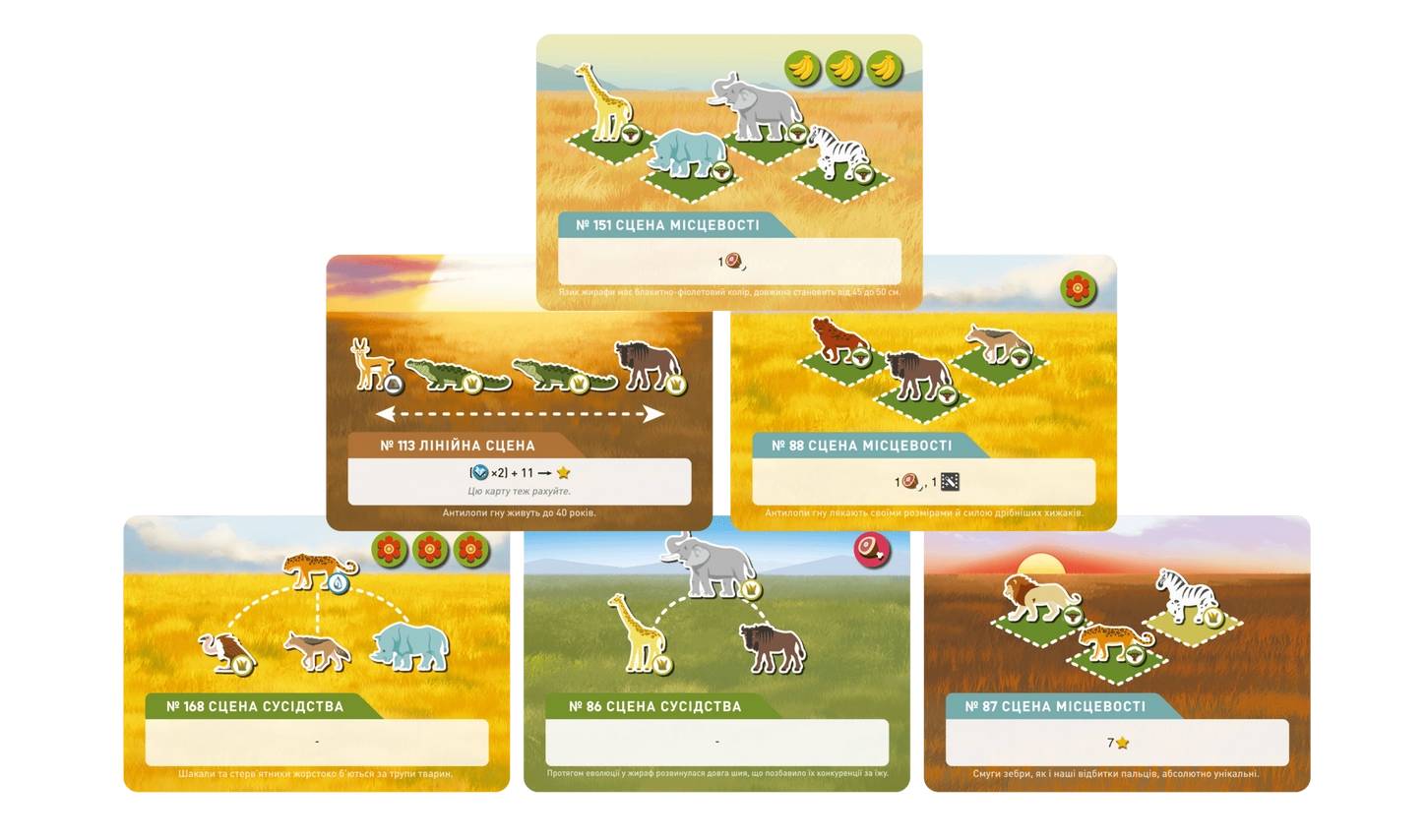 Настольная игра Дикая природа. Серенгети (Wild: Serengeti) 2