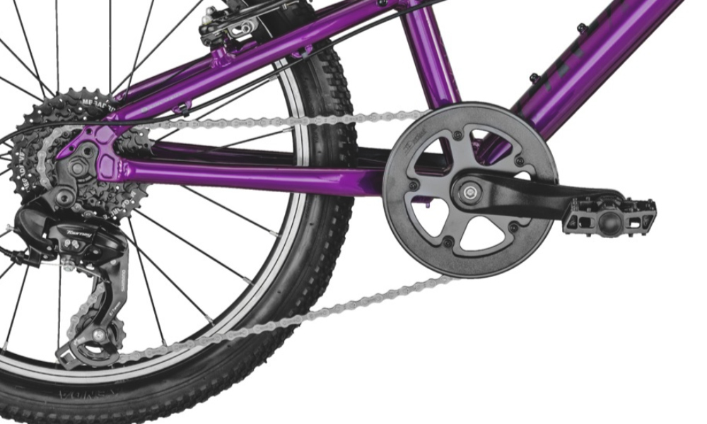 Фотография Велосипед Bergamont Bergamonster Girl 20" (2021) 2021 Фиолетовый