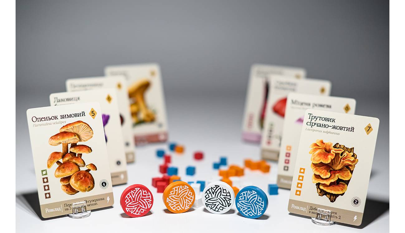 Настільна гра Міцелія (Mycelia) 14 Настільна гра Міцелія (Mycelia) 14