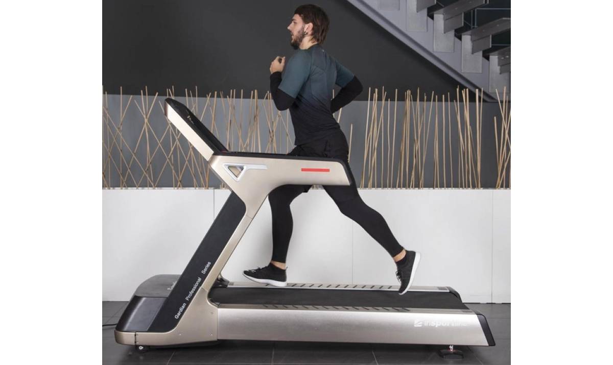 Беговая дорожка inSPORTline Gardian G12 4