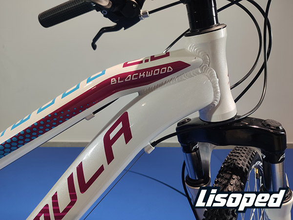 Велосипед Formula 24" BLACKWOOD 2.0 AM DD (2020) 2020 Сіро-блакитний 2
