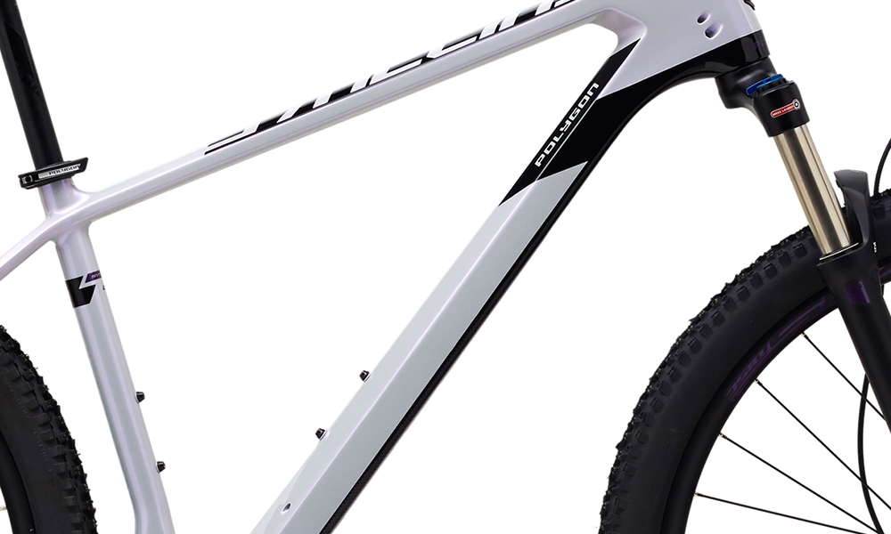 Велосипед Polygon SYNCLINE C2 29" 2021, размер М, Серый 5 Велосипед Polygon SYNCLINE C2 29" 2021, размер М, Серый 5